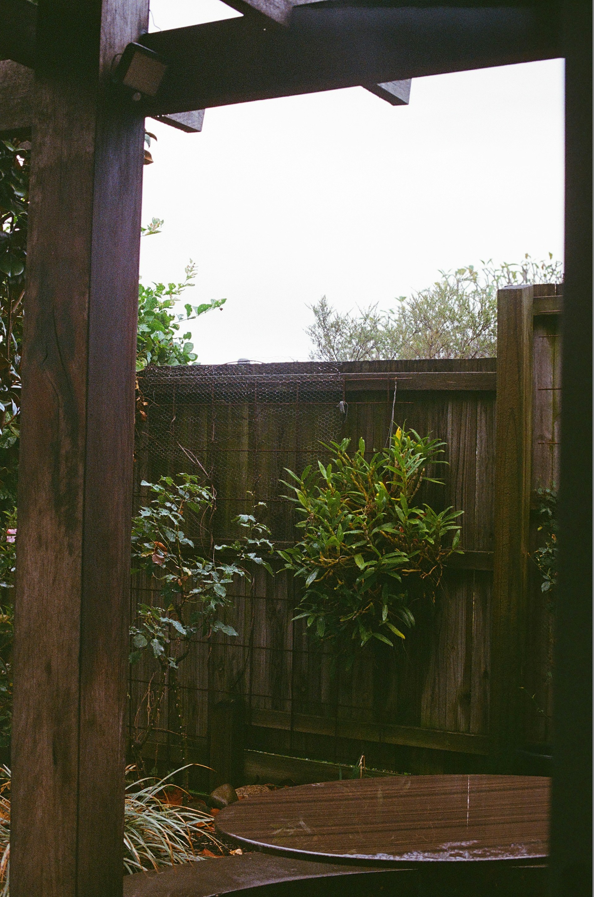 Mosquito Control